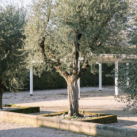 Red Carpet Διαμέρισμα Castelnuovo del Garda Εξωτερικό φωτογραφία